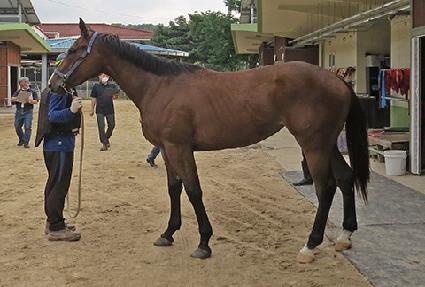 ������Ʈ�� ����