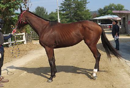 ������ ����