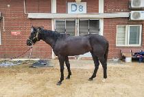 SUCCESS FRONT picture