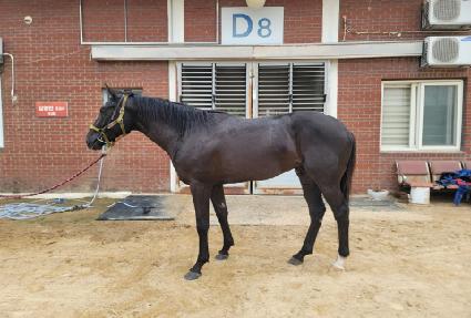 ����������Ʈ ����