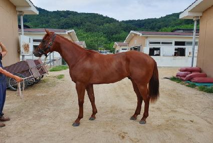 �ƺ����� ����