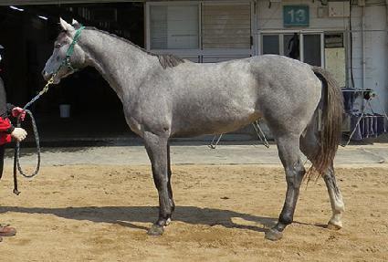 ȭ��Ʈ��ġ ����