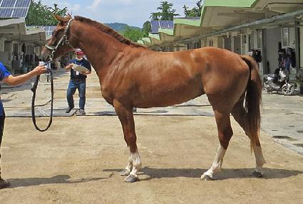 �׽��޸� ����