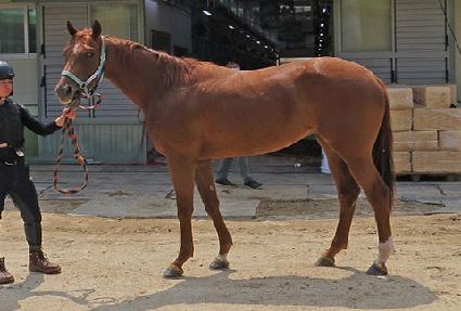 �»��̸� ����