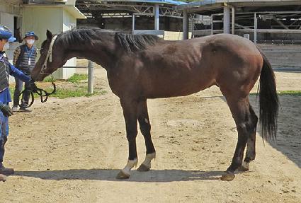 �׸������� ����