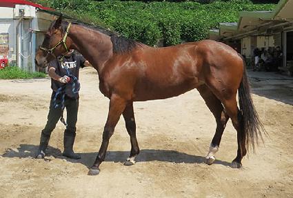 �׸��Ǹ� ����