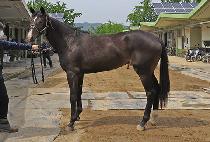 ����Ѽ��� (DANGDANGHANSUNTAEK) ����