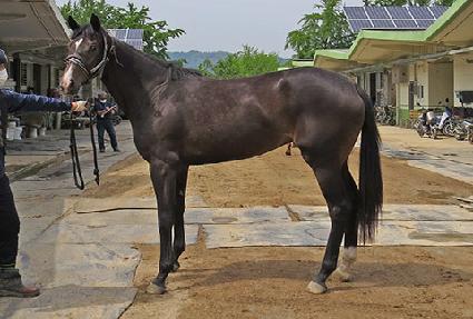 ����Ѽ��� ����