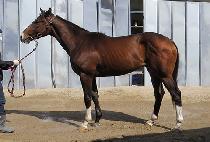 ���丮�� (IMPERIAL BORN) ����