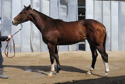 ���丮�� ����