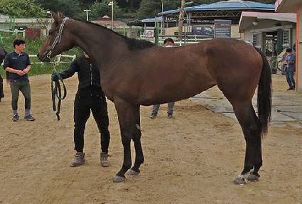 �۷θ��ؾƳ� ����