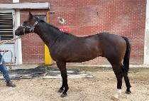 �۷ι���ī�� (GLOBAL SKY) ����