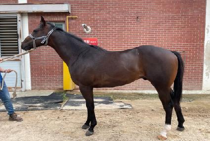 �۷ι���ī�� ����