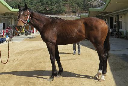 �̽�����Ÿ ����