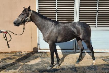 �ͺ����� ����