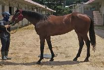 �¸��ǿ�ȥ (SEUNGRIUI YEONGHON) ����