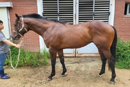 �ְ����� ����