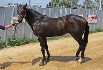 ���ô�� (NAOL DAEWANG) ����