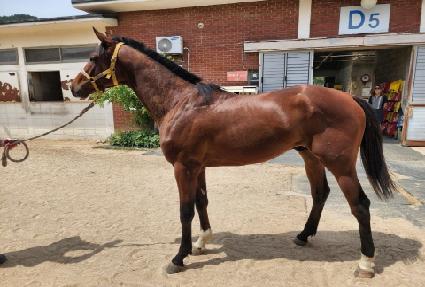 ���������� ����