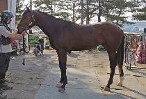 �̽�������Ƽ (MR QUALITY) ����