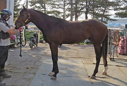 �̽�������Ƽ ����