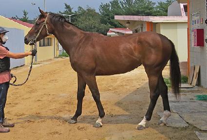 ���ｺ��Ʈ ����