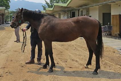 Ŭ�ι���Ƽ ����