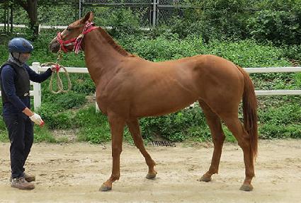 �ŵ𽼸���ƾ ����