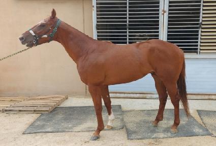 ���弱 ����