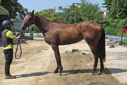 ����λ�� ����