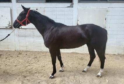 �������� ����