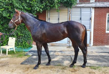 �ض����� ����