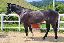 DUBAI WONJEONGDAE picture