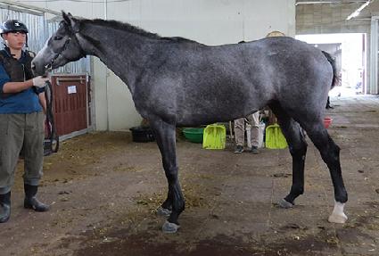 ����¯ ����