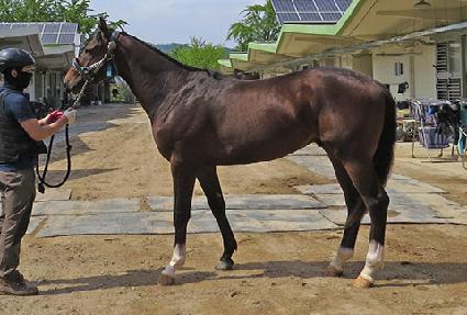 �Ʋ��� ����