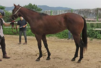 �����ε� ����