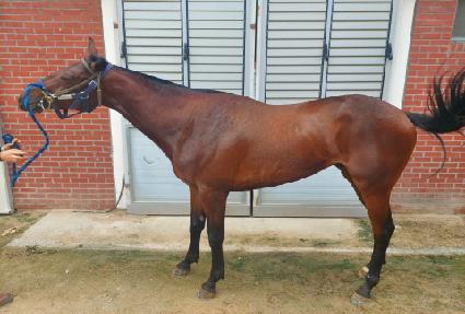 ��´��Ҹ� ����