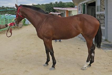 �����¾� ����