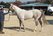 ��罺ĭ (URUS KHAN) ����