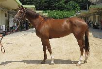 ��ö���� (GANGCHEOL YEOGEOL) ����