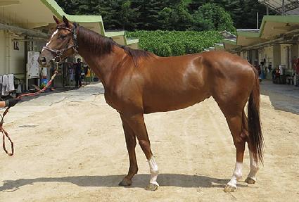 ��ö���� ����