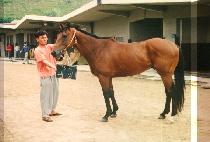 �뼺 (DAE SEUNG) ����