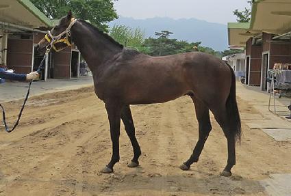 ����ť�ǵ� ����