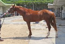 �Ƹ�����ġ (ARGO RICH) ����