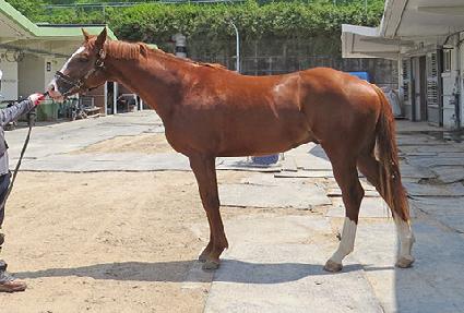 �Ƹ�����ġ ����