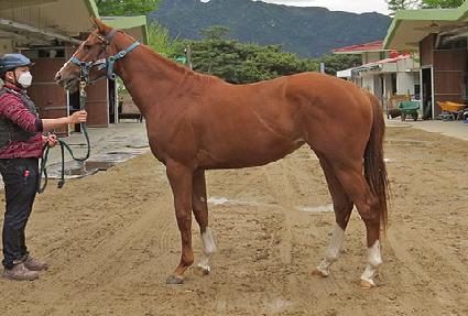 �ö������� ����