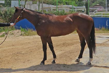 ����Ű ����