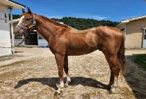 ���纼Ʈ (NAMYANG BOLT) ����