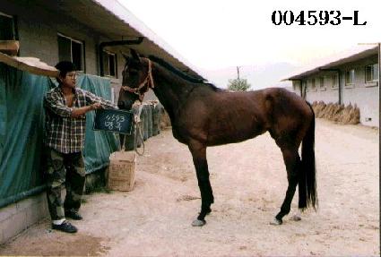 ���� ����