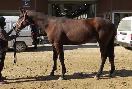 �ض����� ����